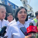 Pelni Gelontorkan Rp700 Miliar! Beli Kapal Baru?