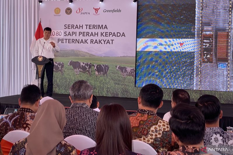Sapi Impor Australia: Amankah Susunya? Ini Kata Barantin!