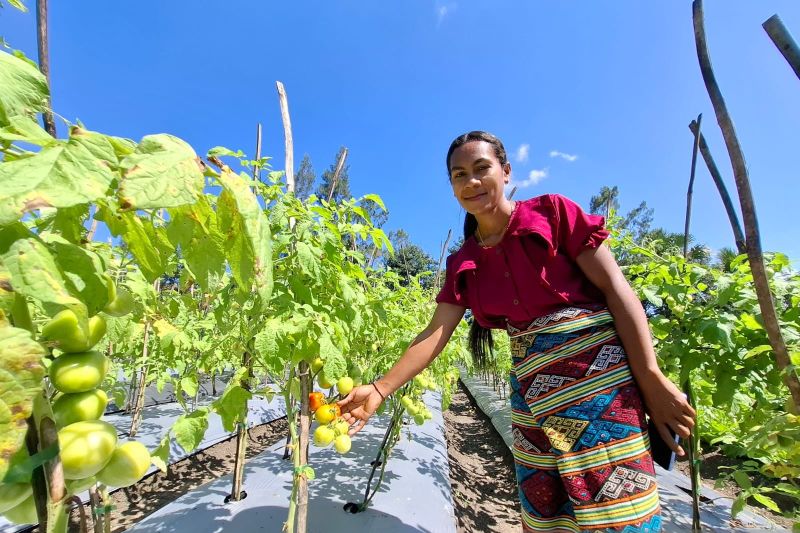  Dari Bali ke Kebun: Kisah Inspiratif Yunita!