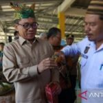Dana Desa Ratusan Triliun: Efektifkah?