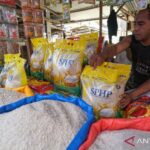  Beras Murah Datang! SPHP Diguyur, Harga Stabil?
