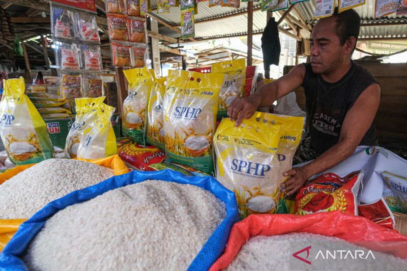  Beras Murah Datang! SPHP Diguyur, Harga Stabil?