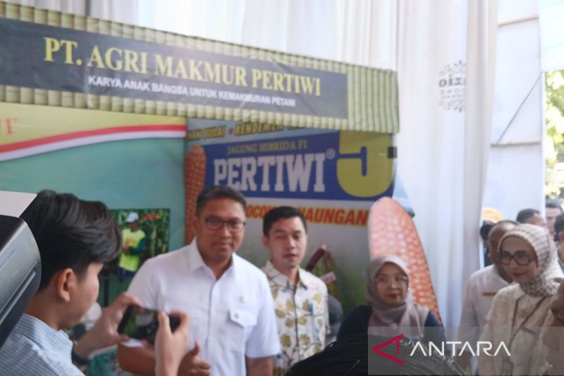 Irigasi Jebol? Pemerintah Kucurkan Dana Triliunan!