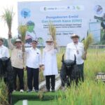  Pertanian Masa Depan: Teknologi Ramah Lingkungan Tingkatkan Hasil Panen!