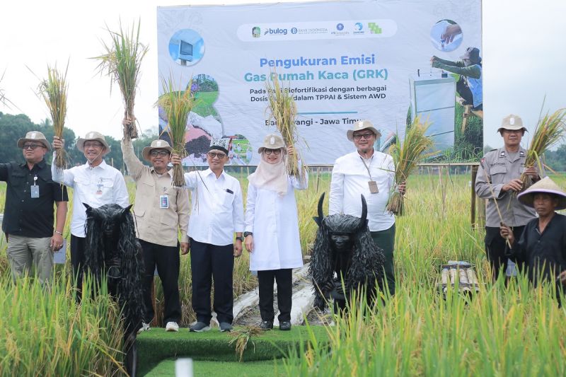  Pertanian Masa Depan: Teknologi Ramah Lingkungan Tingkatkan Hasil Panen!