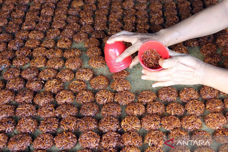  Cakar Ayam Sergai: Gurihnya Untung Jutaan Rupiah!
