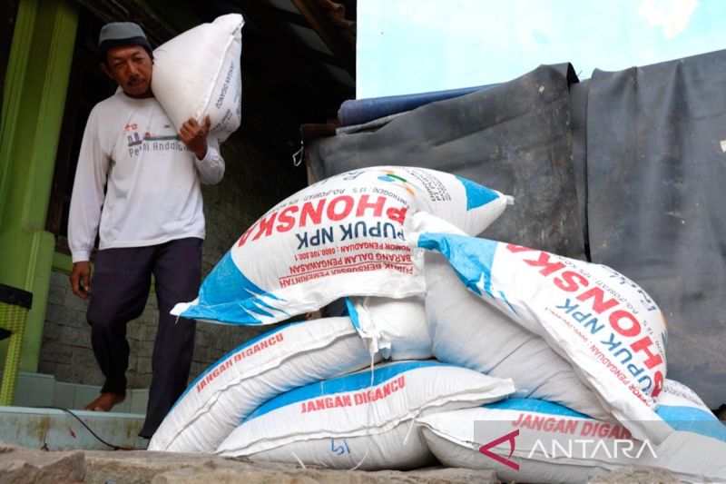 Pupuk Subsidi Mudah, Petani Cirebon Sumringah!