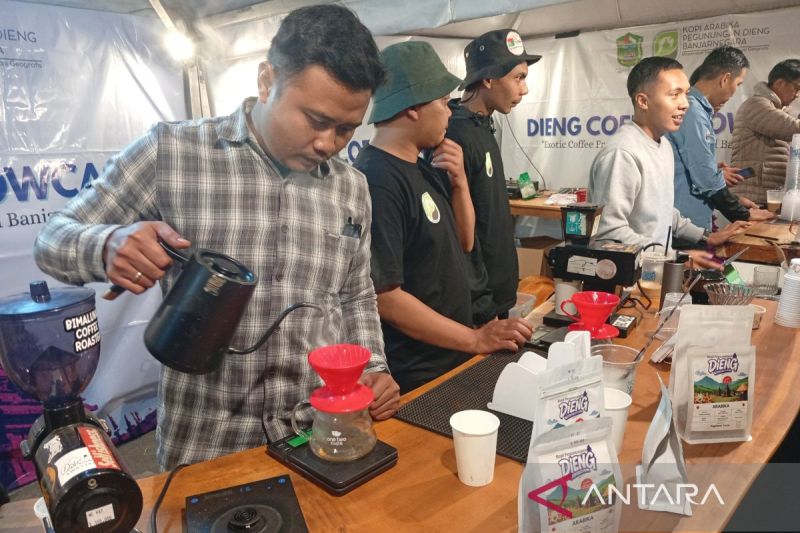  Kopi Dieng: Hangatkan DCF, Bangkitkan Asa Petani!