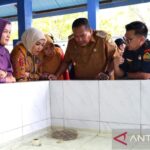 Pariaman: Penyu Jadi Magnet Wisata Edukasi!