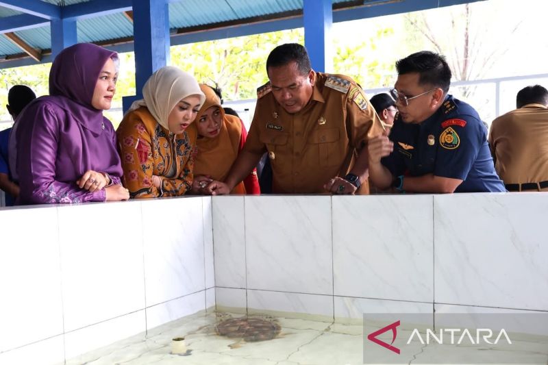 Pariaman: Penyu Jadi Magnet Wisata Edukasi!