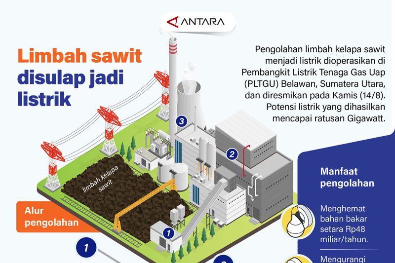  Sawit Jadi Energi? Listrik Murah Meriah!