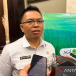  Harga Beras Stabil? Pemerintah Klaim Sukses di Ratusan Daerah!