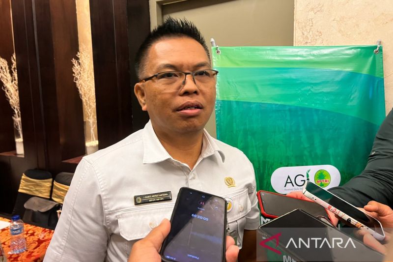  Harga Beras Stabil? Pemerintah Klaim Sukses di Ratusan Daerah!