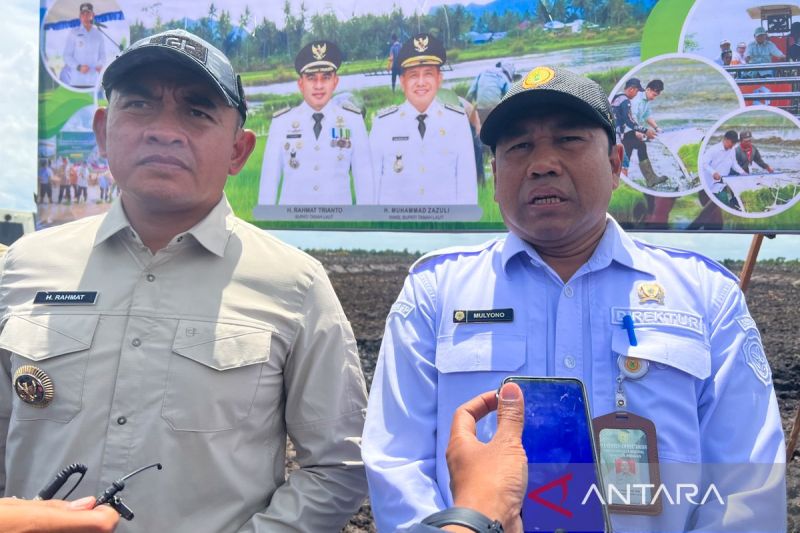 Revolusi Sawah! Tanah Laut Jadi Pelopor Pertanian Modern