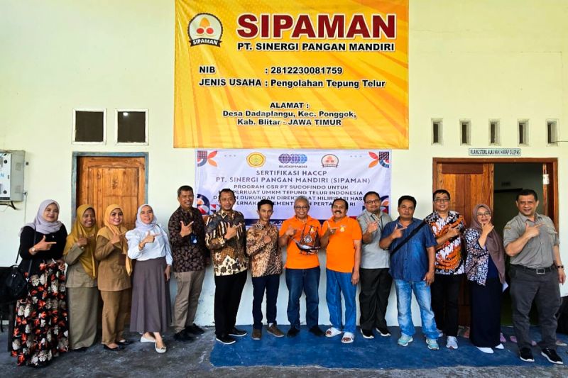 Telur RI Mendunia? Kementan Genjot Daya Saing!