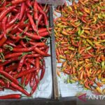  Harga Cabai & Bawang Merah Anjlok! Cek Harga Sembako Lainnya