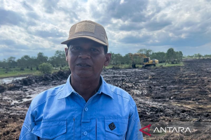 Petani Tanah Laut 'Begadang' Demi Swasembada Pangan!