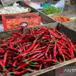  Harga Cabai & Bawang Merah Anjlok! Ada Apa?