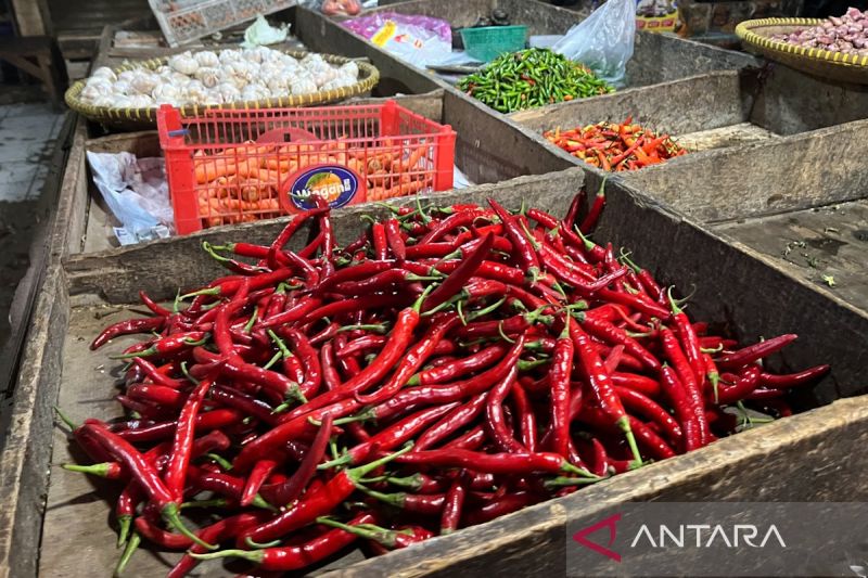  Harga Cabai & Bawang Merah Anjlok! Ada Apa?