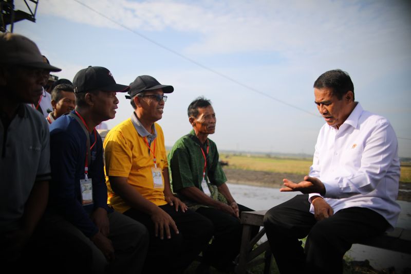 Harga Gabah Naik! Mentan Siap Sikat Mafia Beras? 1 Harga Gabah Naik! Mentan Siap Sikat Mafia Beras?