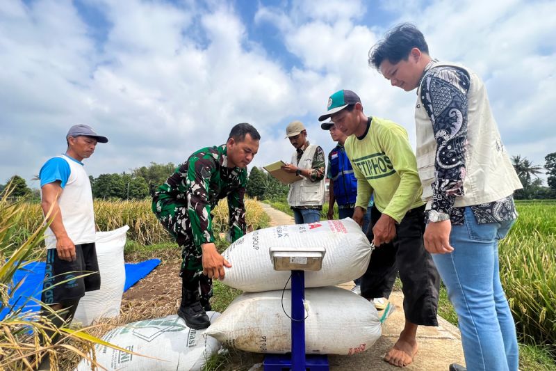 Petani Tersenyum! Kebijakan Pro Petani Makin Mantap!