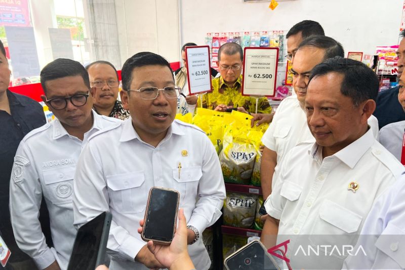  Harga Beras Stabil? Bapanas Genjot Distribusi SPHP!