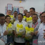  Harga Beras Naik Terus? Ini Jurus Pemerintah!