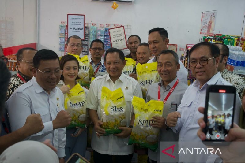  Harga Beras Naik Terus? Ini Jurus Pemerintah!