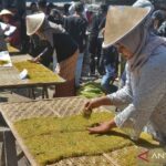  Warisan Tembakau: Festival Lestarikan Tradisi!