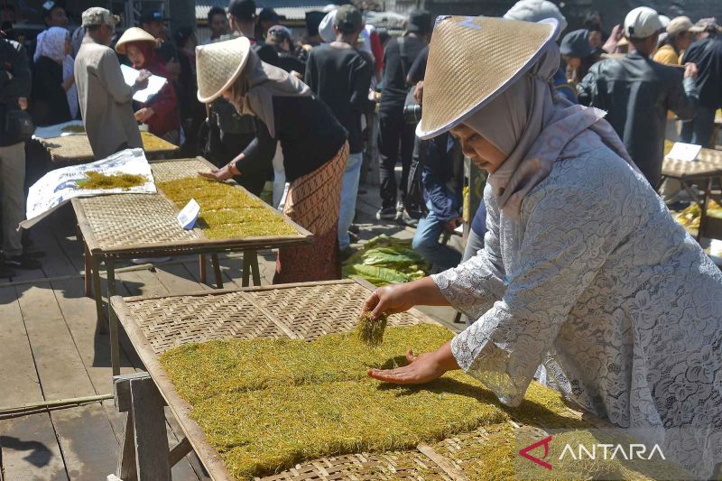  Warisan Tembakau: Festival Lestarikan Tradisi!