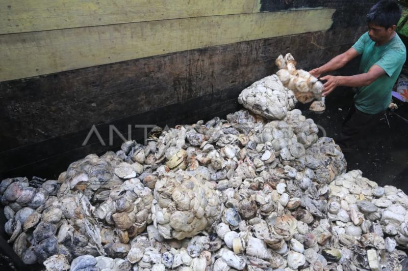 Karet Aceh Harus Diolah di Daerah Sendiri!