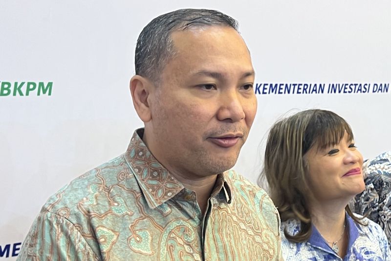 RUPTL PLN Jadi Katalis Investasi EBT? Ini Kata Pemerintah!