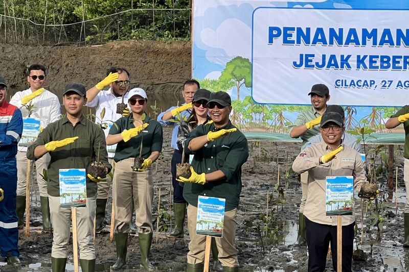  Kilang Cilacap Hijaukan Pesisir! Ada Apa?