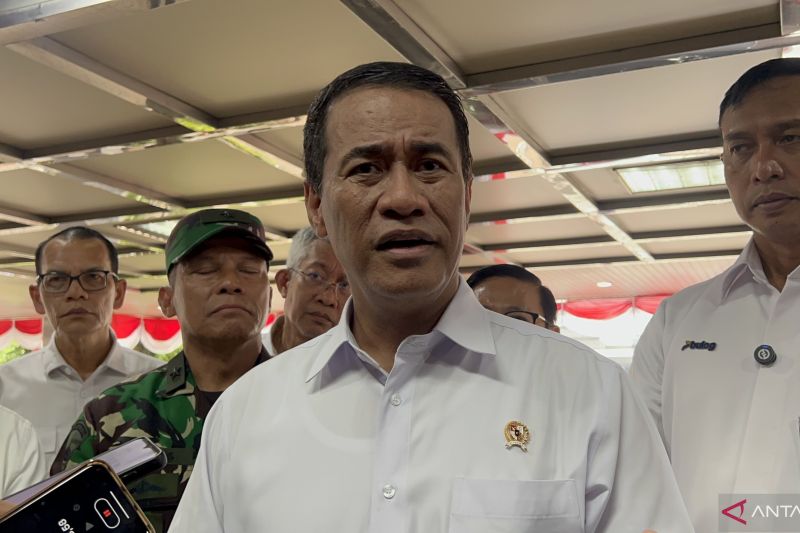 Harga Beras Turun Drastis! Petani Untung, Konsumen Senang?