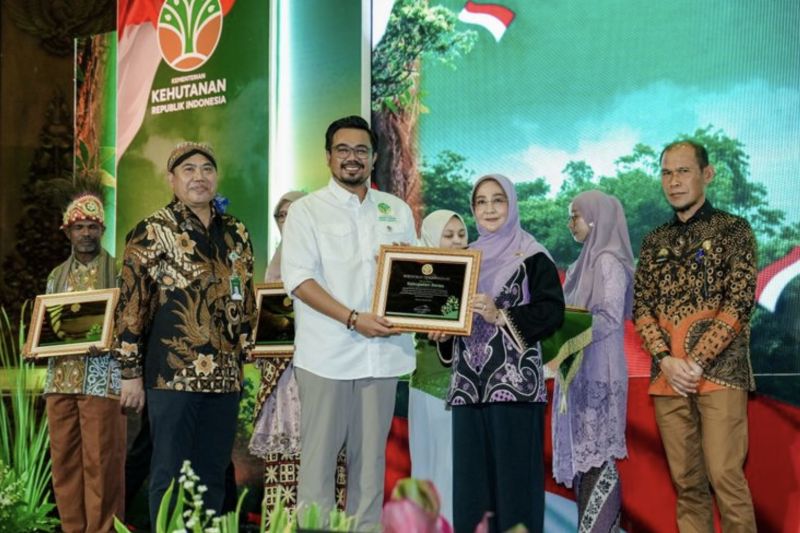 Hutan Lestari, Pangan Terjamin? Jurus Baru Pemerintah! 1 Hutan Lestari, Pangan Terjamin? Jurus Baru Pemerintah!