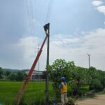Listrik PLN Aliri Sawah Ponorogo, Panen Melimpah?
