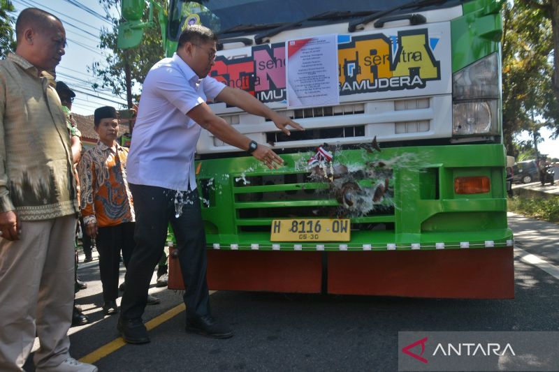  Panen Devisa! Jurus Jitu Dongkrak Ekspor Pertanian RI
