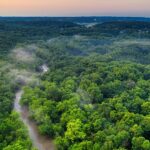  Crazy Rich Selamatkan Hutan Amazon!