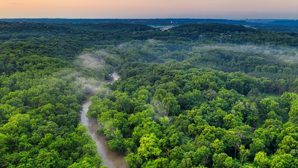  Crazy Rich Selamatkan Hutan Amazon!