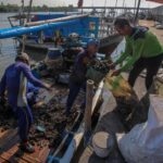 Rezeki Nomplok! Nelayan Cirebon Temukan Harta Karun Ratusan Miliar