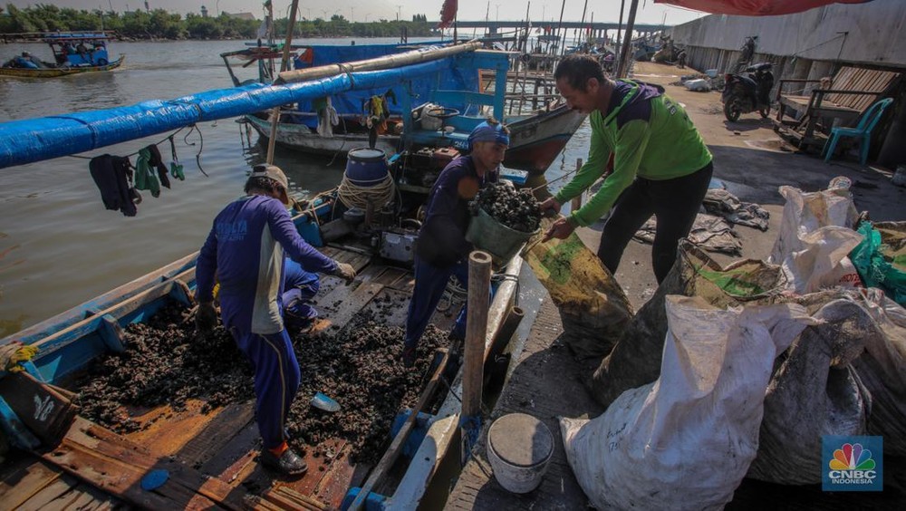 Rezeki Nomplok! Nelayan Cirebon Temukan Harta Karun Ratusan Miliar