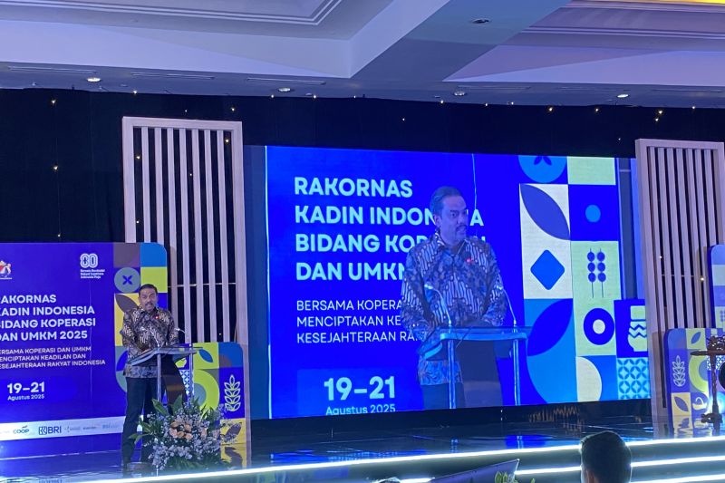 UMKM Wajib Daftar? Ada Apa dengan SAPA UMKM?