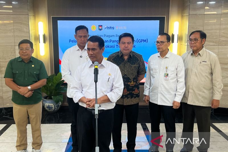 Beras Langka Mitos Atau Fakta Terungkap
