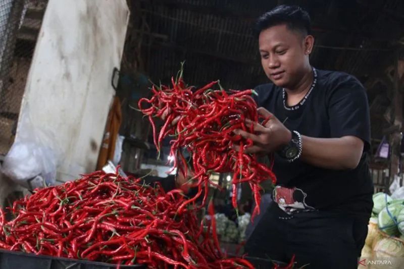 Harga Cabai Bawang Turun Drastis Kejutan Pasar?