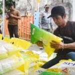Harga Beras Stabil Ini Jurus Rahasia Pemerintah