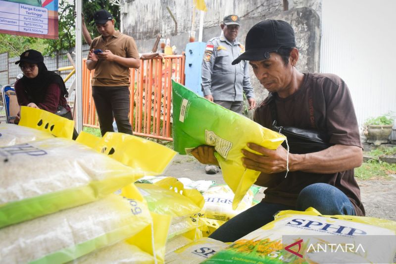 Harga Beras Stabil Ini Jurus Rahasia Pemerintah