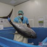 Produk Perikanan Halal Kuasai Pasar Global
