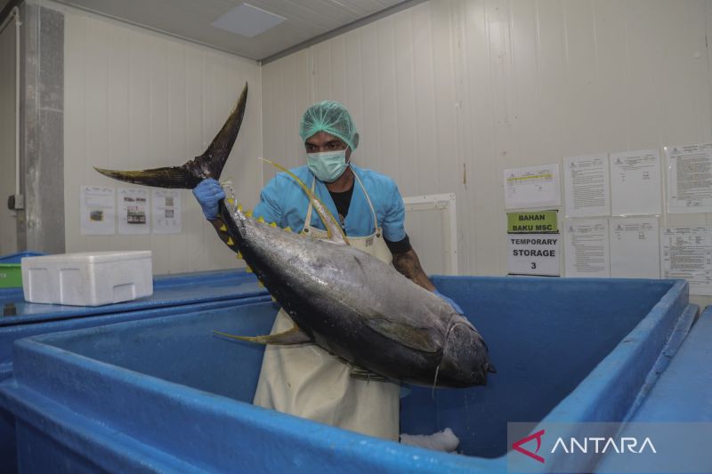 Produk Perikanan Halal Kuasai Pasar Global