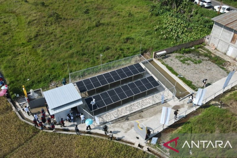 Beranda 22 petani muara enim panen untung berkat plts ptba