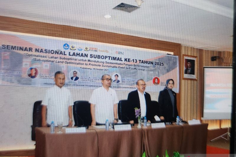 Beranda 21 riset unsri ungkap rahasia swasembada pangan
